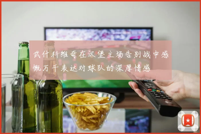 武什科维奇在汉堡主场告别战中感慨万千表达对球队的深厚情感